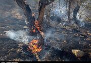 مهار آتش‌سوزی در اراضی کوهدشت