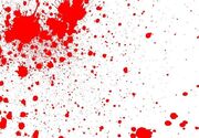 قتل پدرزن با شلیک گلوله توسط داماد خواننده در جنت‌آباد