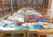 راه‌اندازی ۱۳۰ کتابخانه در مساجد لرستان