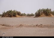 ۳۹۰ هزار هکتار کانون بحرانی فرسایش بادی در جنوب استان کرمان