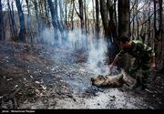 آتش‌سوزی جنگل‌های پلدختر پس از ۴ روز مهار شد