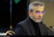 بررسی رهاسازی پول‌ بلوکه شده ایران در دیدار باقری با الزیانی