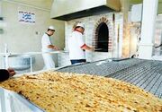 شناسایی ۱۲ واحد نانوایی مختلف در قزوین