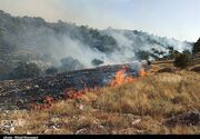 ۱.۵هکتار از مراتع روستای مزده نطنز در آتش سوخت