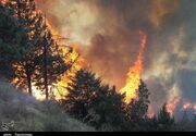 آتش‌سوزی‌های تابستانی تهدیدی جدی برای بهبودی لایه ازن