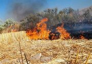 آتش‌سوزی در ارتفاعات قلارنگ سیروان برای سومین بار متوالی