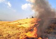 شناسایی ۵عامل آتش‌سوزی در مزارع ازنا