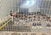 شهادت ۳۶ اسیر فلسطینی در پایگاه ارتش رژیم اسرائیل