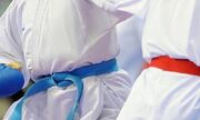 مدیر تیم‌های ملی کاراته معرفی شد