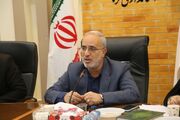 نرخ باروری در استان کرمان؛ "مثبت" ارزیابی شد