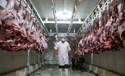 آغاز توزیع هفتگی ۵۰ تن گوشت قرمز منجمد در بازار کردستان