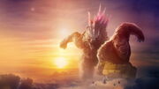 نقد فیلم Godzilla x Kong: The New Empire | کارتون رنگارنگ