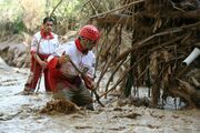 امدادرسانی به ۲۴۱ حادثه دیده سیل و آبگرفتگی در فارس
