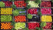 روزانه بیش از ۱۰۰ تن میوه و سبزیجات از استان بوشهر به قطر صادر می‌شود