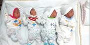 تولد چهار قلوها در سال جدید در بیمارستان شریعتی اصفهان