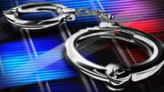 دستگیری دو متخلف و کشف دو قبضه اسلحه در منطقه حفاظت شده سفیدکوه خرم آباد