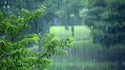 سمنان در فهرست کم بارش ترین استان های کشور