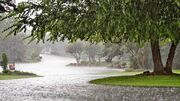 ثبت بارش ۱۰۴ میلی متری باران در شیرآباد