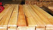 توسعه مزارع تولید چوب در کرمانشاه