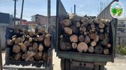 کشف ۵ تن چوب جنگلی قاچاق در کلاردشت