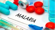 هیچ مورد فوتی ناشی از مالاریا به ثبت نرسید