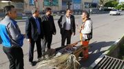 فرماندار رفسنجان با اهدای گل به دیدار کارگران سطح شهر رفت