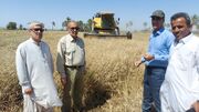 خرید گندم از کشاورزان سیستان و بلوچستان از مرز ۲۱ هزار تن فراتر رفت