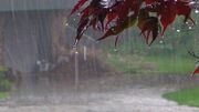 ثبت بیشترین بارش باران در ایستگاه در روستای انجیره آبدانان