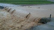 خسارت سنگین بارش‌ها به بخش کشاورزی فارس