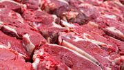 اجرای طرحی برای خودکفایی تولید گوشت قرمز در یزد
