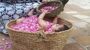 جشنواره گل غلتان نوزادان در امیریه