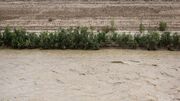 رودخانه‌های زنجان سیلابی می‌شود