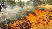 ۱۵ منطقه بحرانی آتش سوزی در منابع طبیعی همدان شناسایی شد