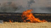 اتخاذ تمهیدات پیشگیرانه برای مقابله با آتش‌سوزی در مزارع بیله‌سوار