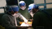 هزار و ۵۰۰ عمل جراحی پیوند اعضا در شیراز انجام شد