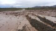 سیلاب مسیر روستایی در کدکن تربت‌حیدریه را مسدود کرد