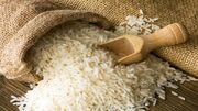 تولید برنج به ۲ میلیون و ۶۰۰ هزار تن می‌رسد
