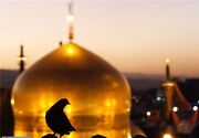برگزاری جشن‌های مردمی امام رضا (ع) در مساجد و اماکن مذهبی فارس