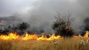 آتش سوزی مراتع زنجان ۶۳ درصد افزایش یافت