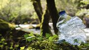 ممنوعیت استفاده از پلاستیک برای نجات محیط زیست