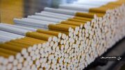 محکومیت بیش از ۳ میلیارد ریالی قاچاقچی سیگار در پیرانشهر