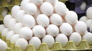 صادرات تخم مرغ به ۳۳ هزار تن رسید
