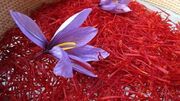 عرضه بیش از ۶ هزار کیلوگرم زعفران صادراتی در رینگ صادراتی بورس کالا