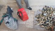 دستگیری یک صیاد غیرمجاز ماهی در تالاب هورالعظیم