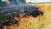 تشکیل پرونده قضایی و آغاز تحقیقات برای بررسی علت آتش سوزی مزارع در ایذه