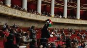 تعلیق نماینده فرانسوی به علت بالا بردن پرچم فلسطین