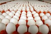 صادرات ۴۷۸ تن تخم مرغ خوراکی به خارج از کشور
