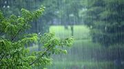 کاهش ۲۰ درصدی بارش‌ها در اردبیل