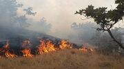 آتش سوزی مراتع در کوه‌های ملکشاهی مهار شد