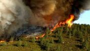 خسارت به ۲ و نیم هکتار از باغات زیتون در پی آتش سوزی